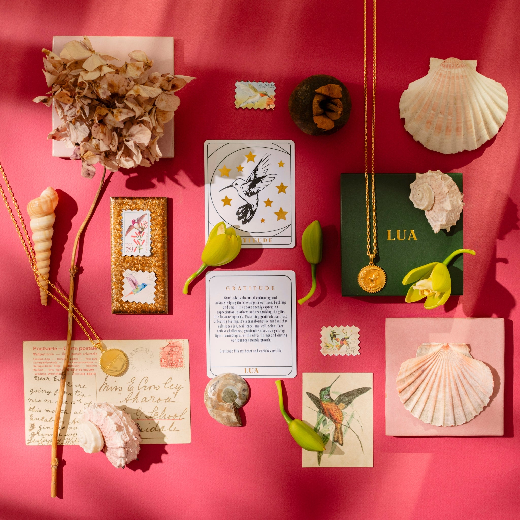 A collection of seashells, plant elements, postcards, and a tarot card arranged on a pink background. A gold necklace with a "Gratitude Hummingbird" pendant and a green card with "LUA" are also visible, reminding us to embrace life's blessings.