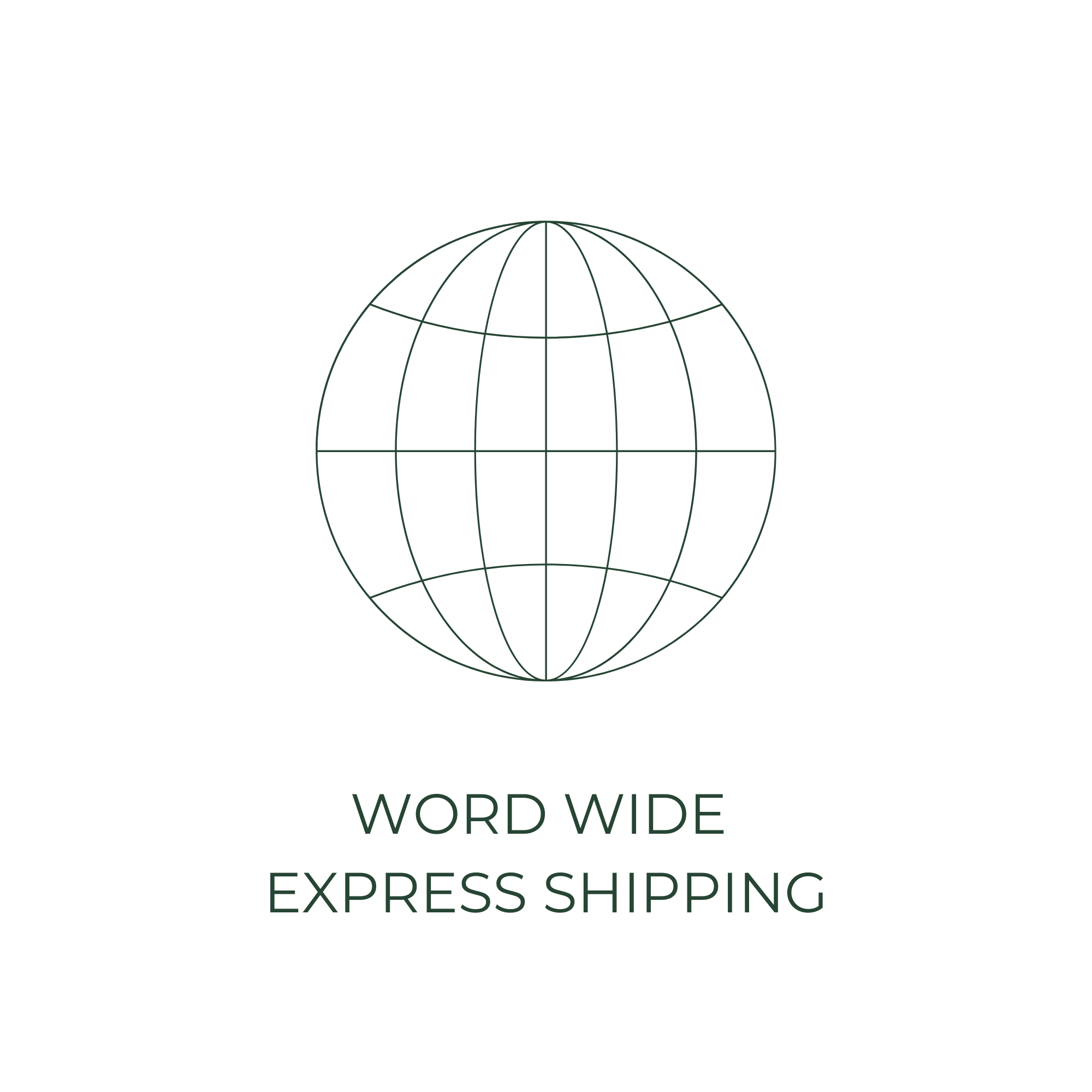 Globe icon with 'World Wide Express Shipping' text on a white background