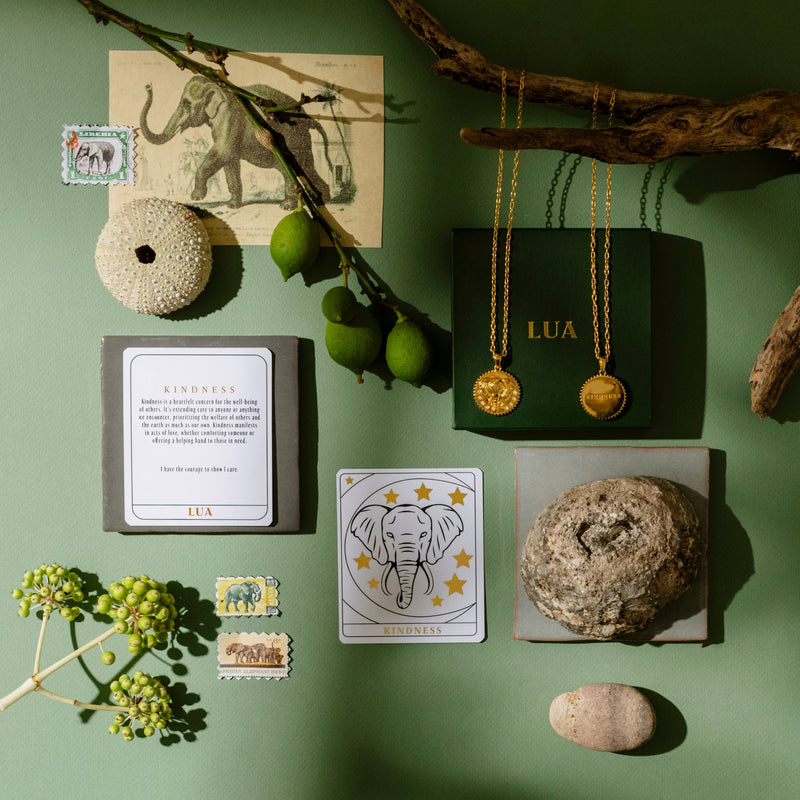 A curated flat lay featuring an elephant illustration, a kindness quote card, stamps, gold necklaces, a twig, assorted plants, a rock, a shell, and a green book labeled "LUA," all on a green background. The items beautifully weave together themes of kindness and compassion.