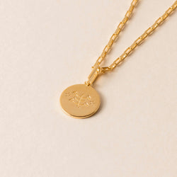 Shining Unity Necklace Gold Vermeil — Ringstone Symbol